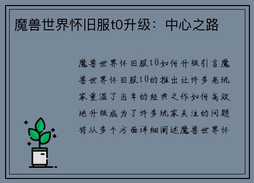 魔兽世界怀旧服t0升级：中心之路